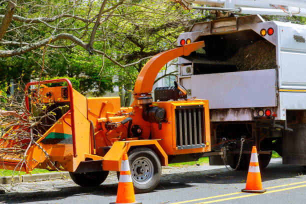 Best Aeration Services  in Dixon Lane Meadow Creek, CA